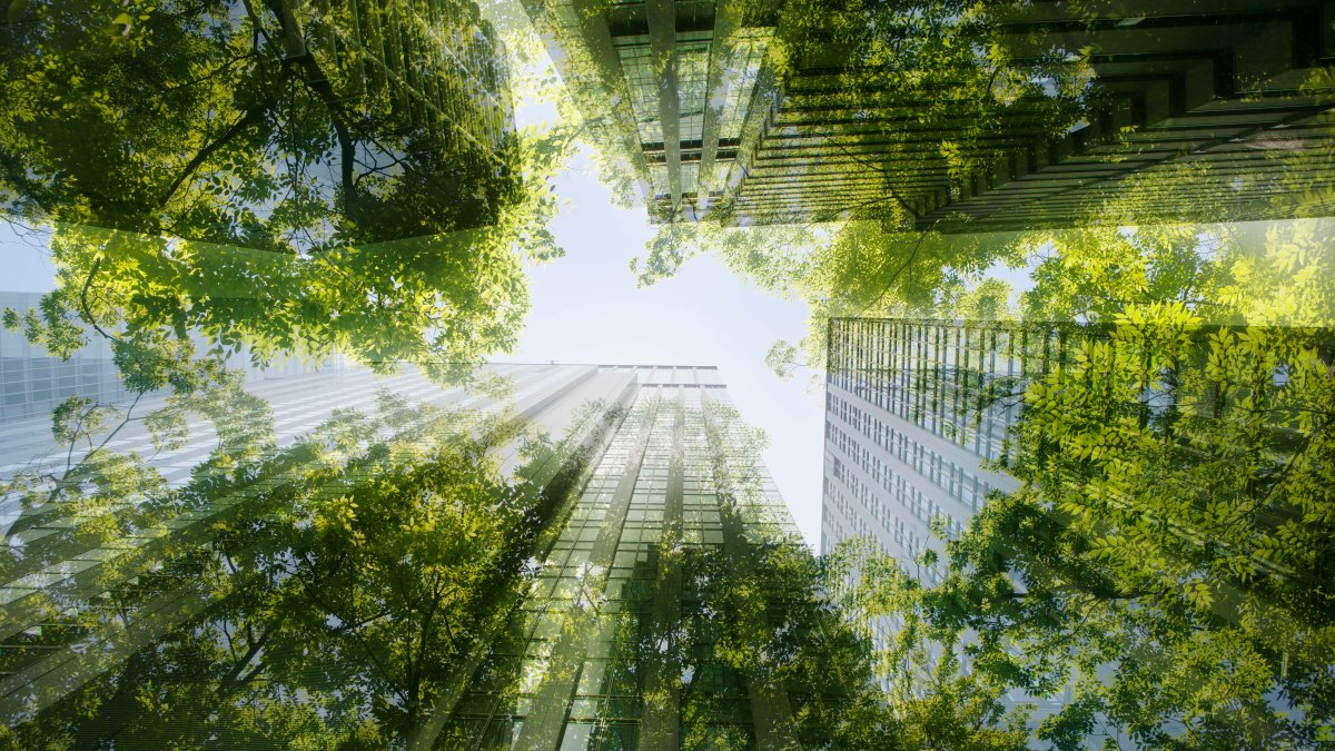 'Green' Offices in London Are Over 25% More Expensive. But a Modern Workforce Now Expects It – NBC Chicago - Vimarsana News