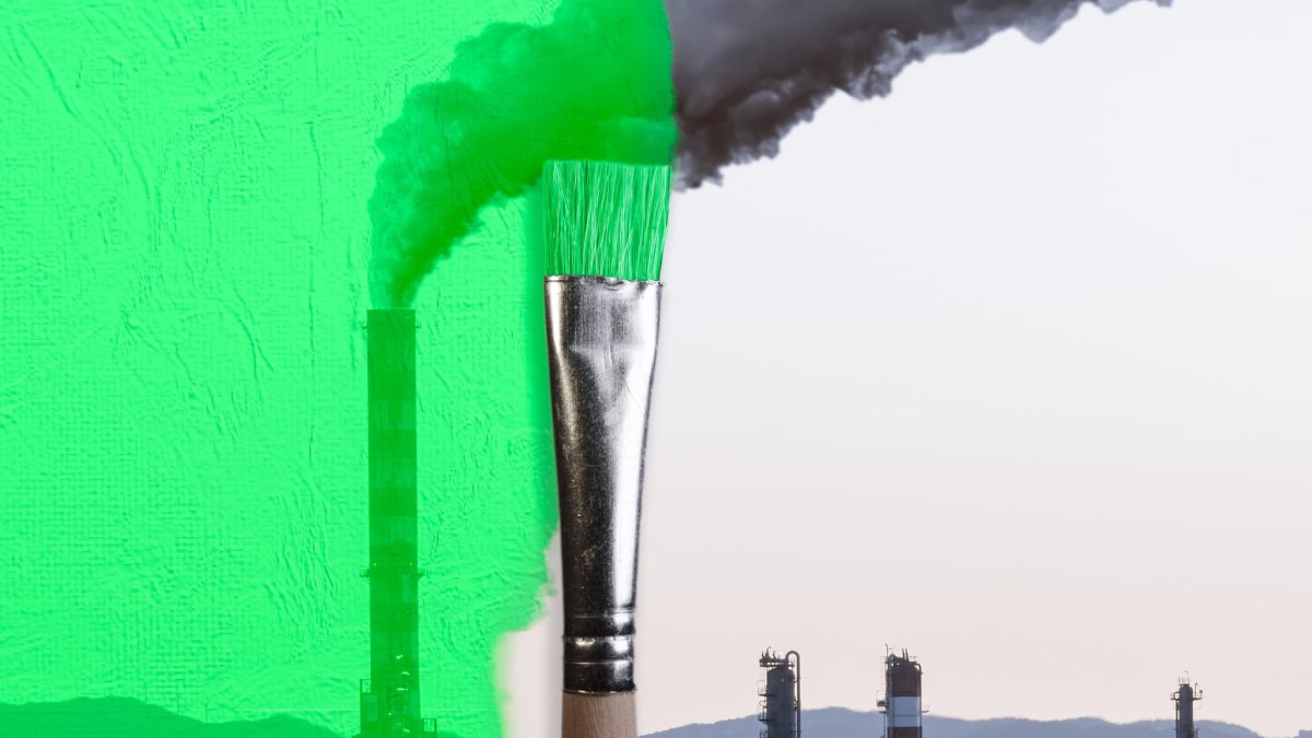 Travel Companies Are 'Greenwashing' — Here Are 3 Ways to Find Ones That Aren't – NBC Chicago - Vimarsana News