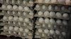 Egg prices are falling, with a dozen now less than $5