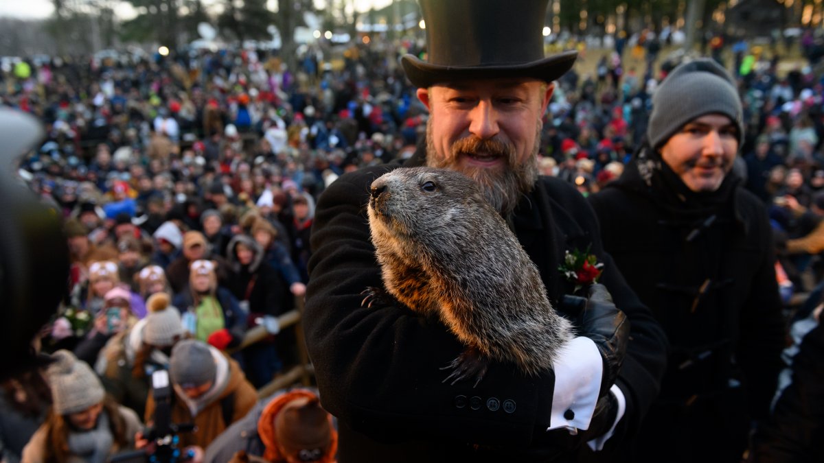 When is Groundhog's Day, and What Happens If the Groundhog Sees Its Shadow?  – NBC Chicago