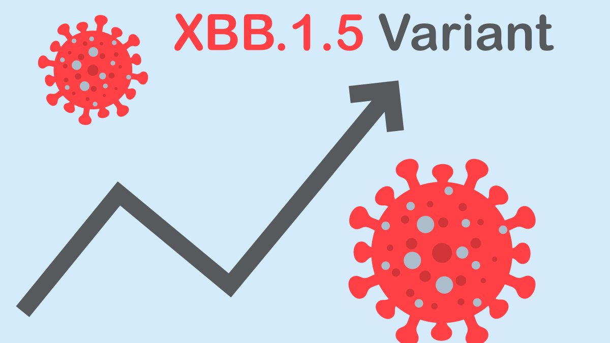 What is the 'Kraken' Variant? What We Know About the New COVID Variant So Far – NBC Chicago - Vimarsana News