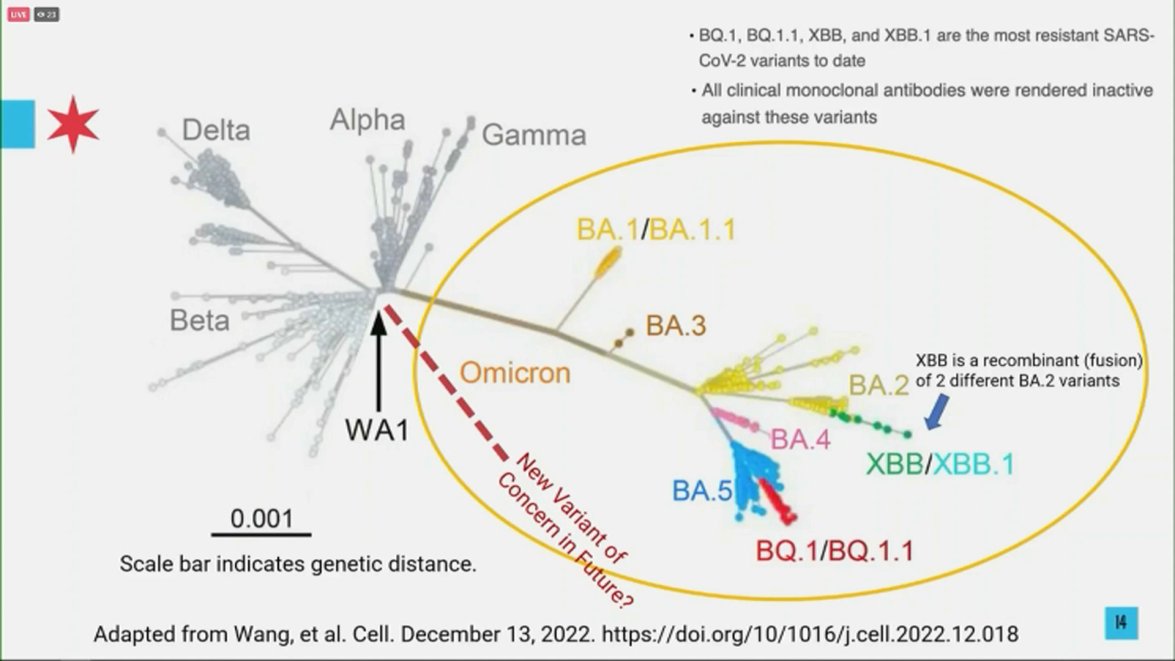 New COVID Variant XBB 1.5 Quickly Rising in Dominance. Here’s Why That ...