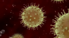 NB.1.8.1: New COVID variant ‘growing rapidly' across the globe detected in US