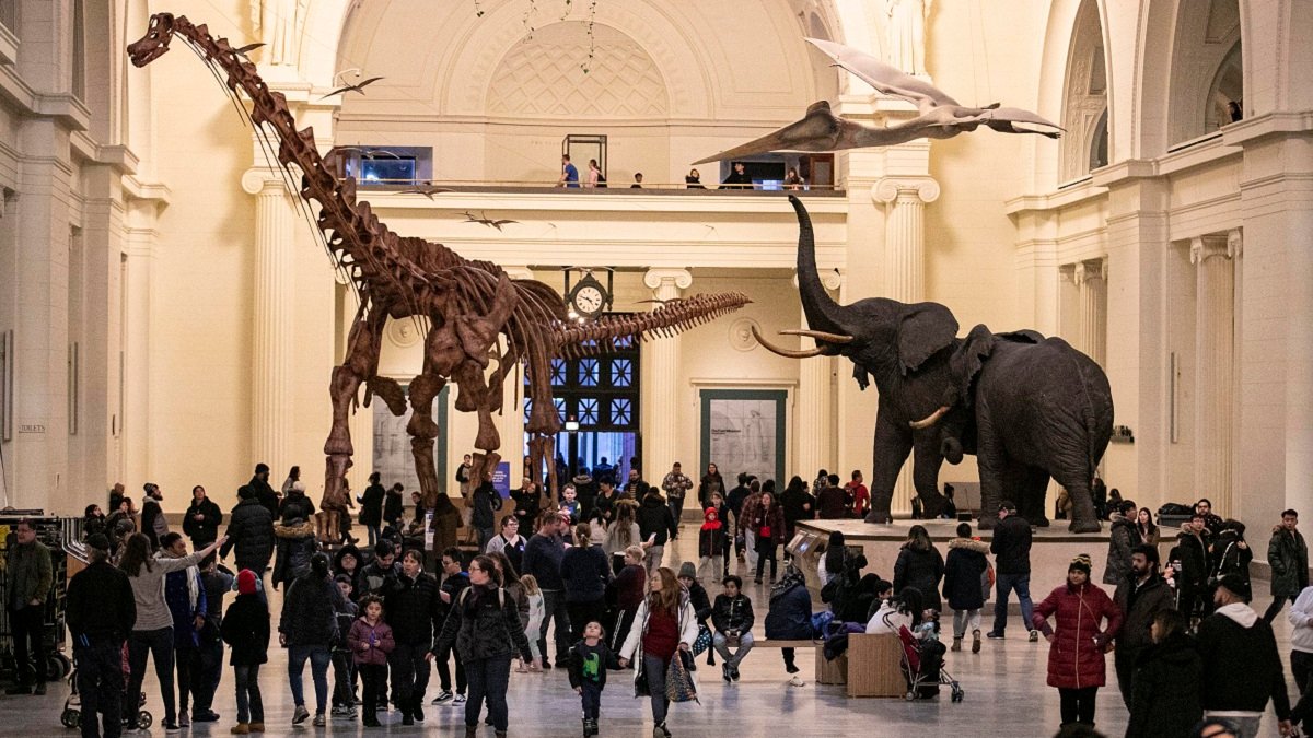 Mark your calendars: Here are the free Chicago museum days this summer
