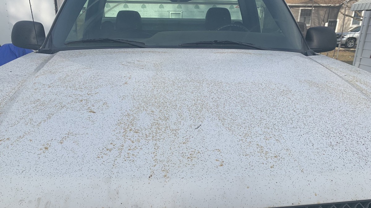 ‘Do NOT Touch': What's That Green Stuff Raining Down in La Salle? Officials Explain