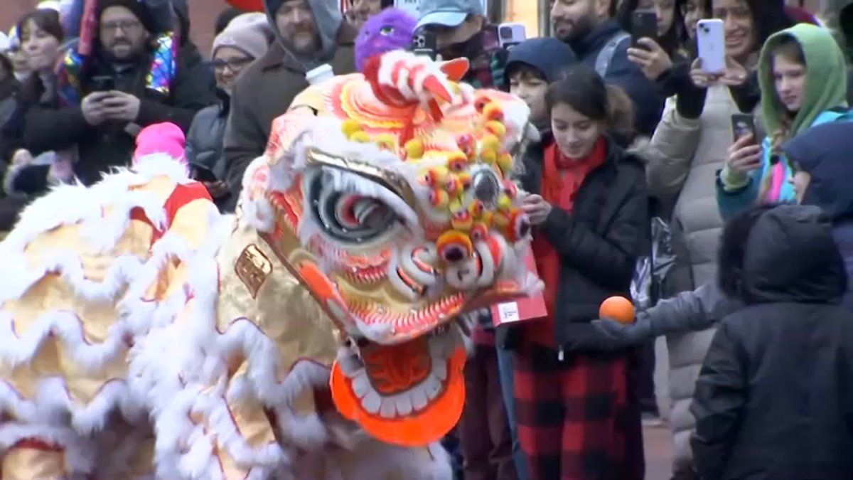 Increased Security Planned at Lunar New Year Celebrations in Chicago After California Shooting - Vimarsana News