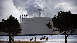 Deer graze inside the gates of the Exxon Mobil Joliet refinery on the Des Plaines River. Exxon Mobil’s 2022 haul of $56 billion marked a historic high for the Western oil industry.