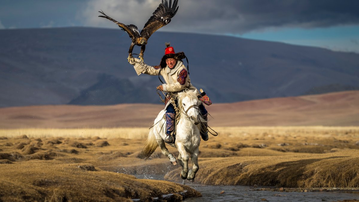See the Photos That Won National Geographic's 'Pictures of the Year' Contest – NBC Chicago - Vimarsana News