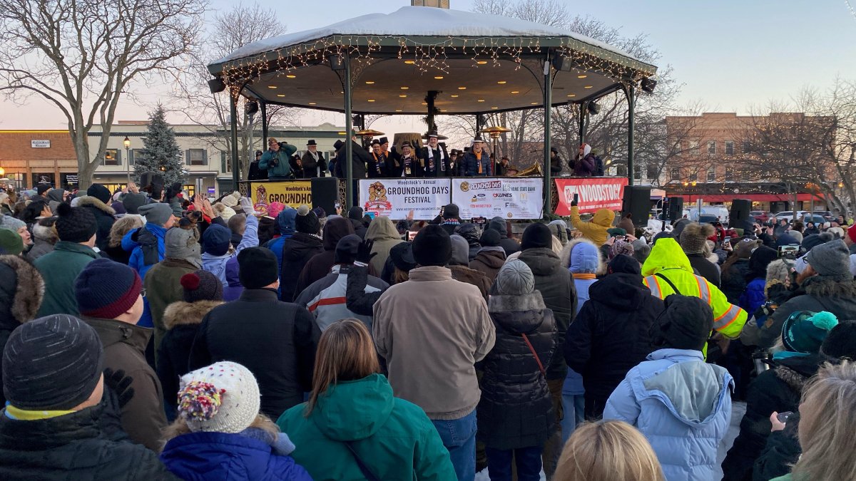 On Groundhog Day, Woodstock Willie May See His Shadow in the Chicago