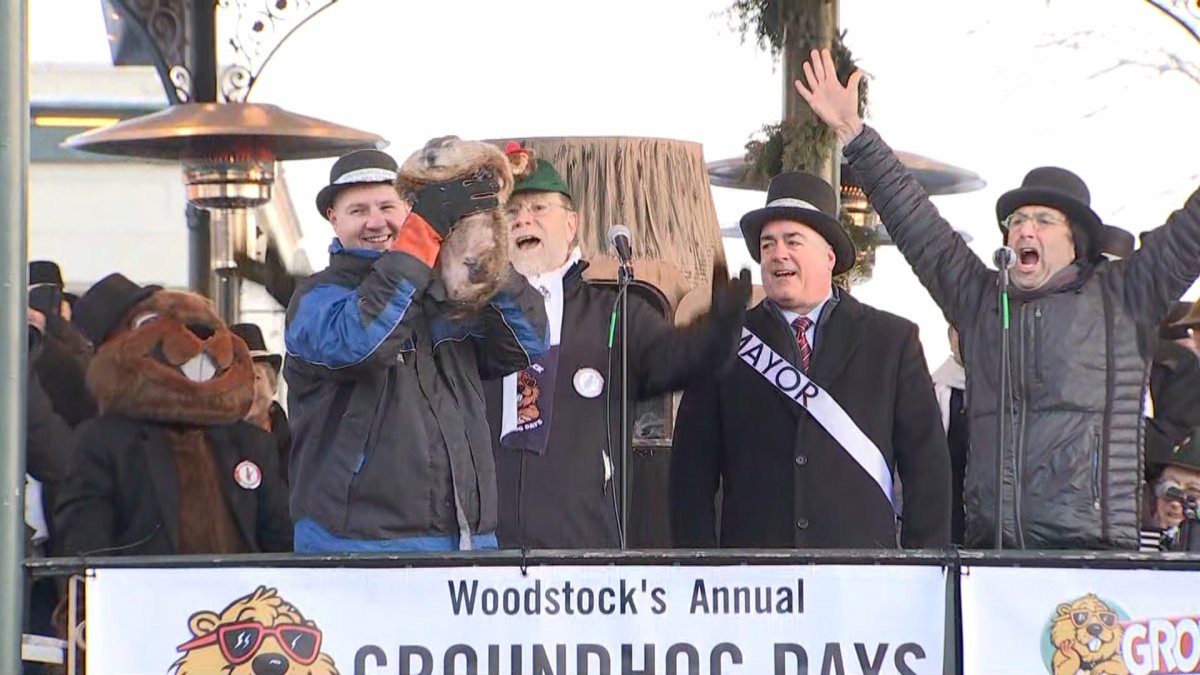 Woodstock Willie Has Spoken: Did the Groundhog From the ‘Groundhog Day