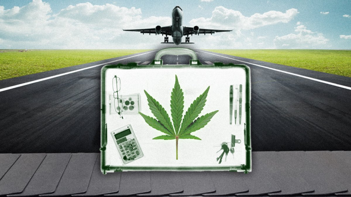 Can You Bring Weed on a Plane? It's Complicated - Vimarsana News