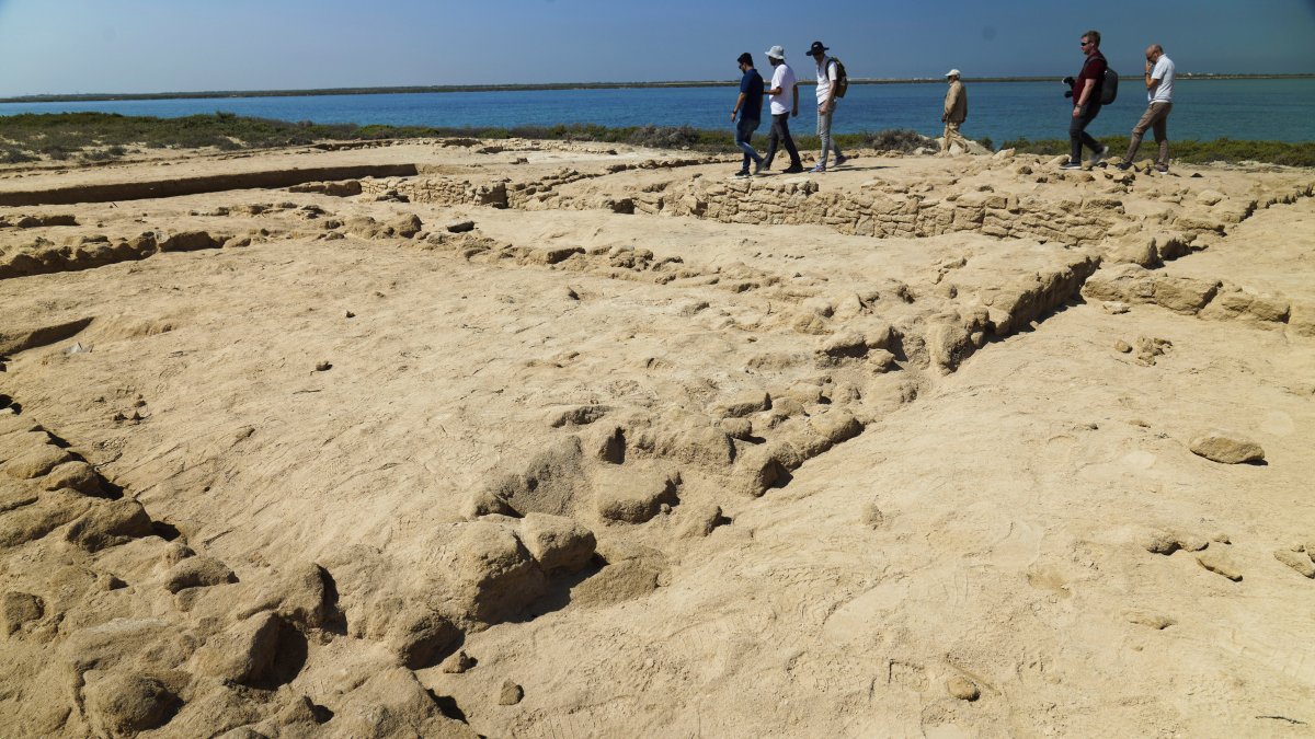 Archaeologists Find Oldest Pearl Town in Persian Gulf – NBC Chicago - Vimarsana News