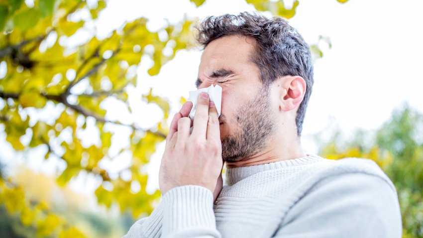 MODEL RELEASED. Young man sneezing, close-up.