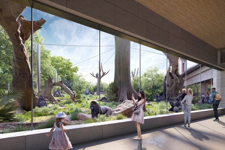Brookfield Zoo To Construct New Primate Habitat NBC Chicago Brookfield Zoo To Construct New Primate Habitat NBC Chicago