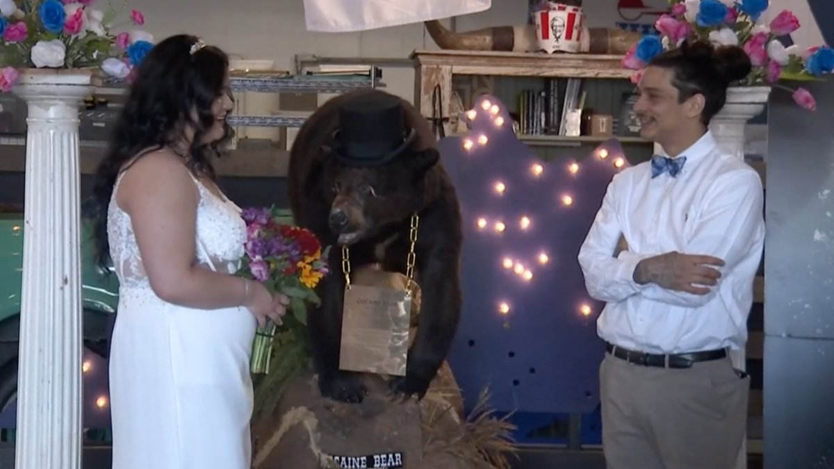 Kentucky Couple Ties the Knot in Front of 'Cocaine Bear' - Vimarsana News