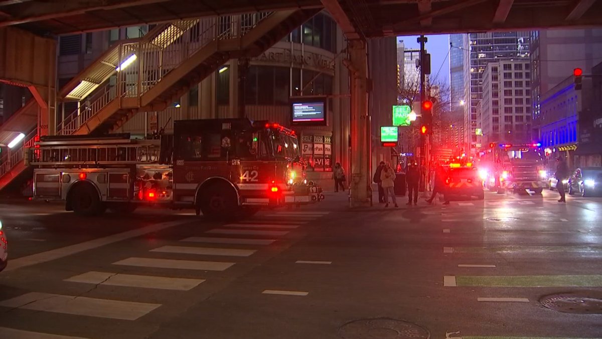 ‘really Well Executed Passengers Share Stories After Cta Train Stops On Bridge Over River 