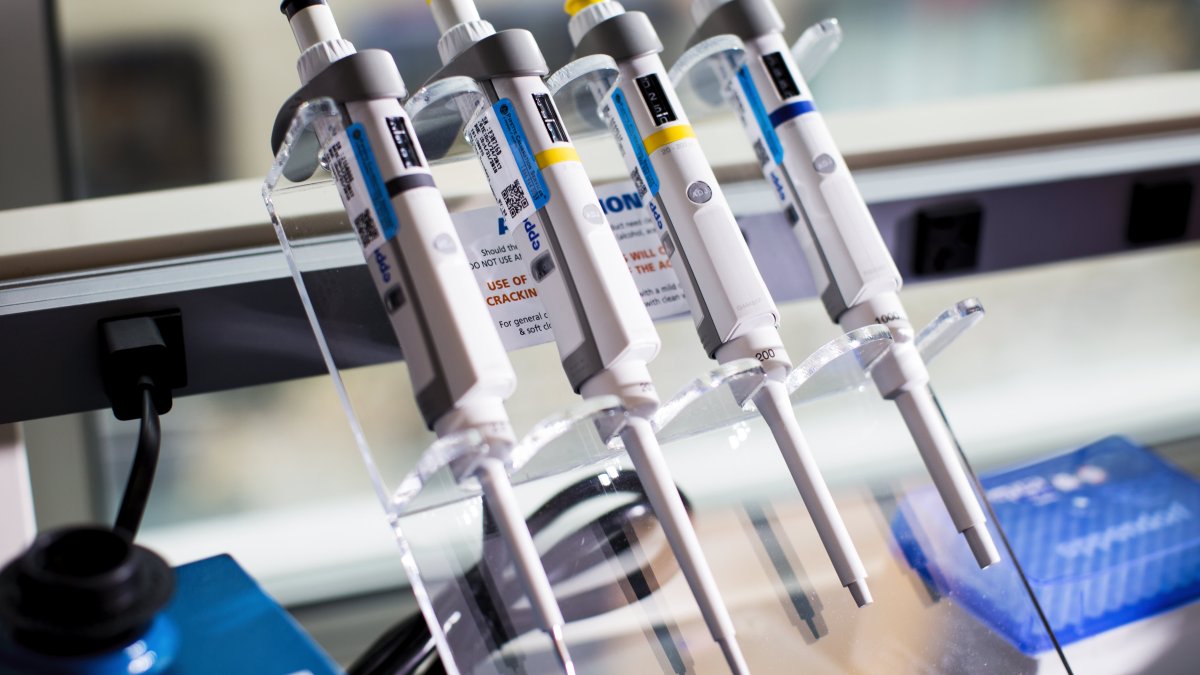 Stocks Making the Biggest Moves Midday WW International, CarMax