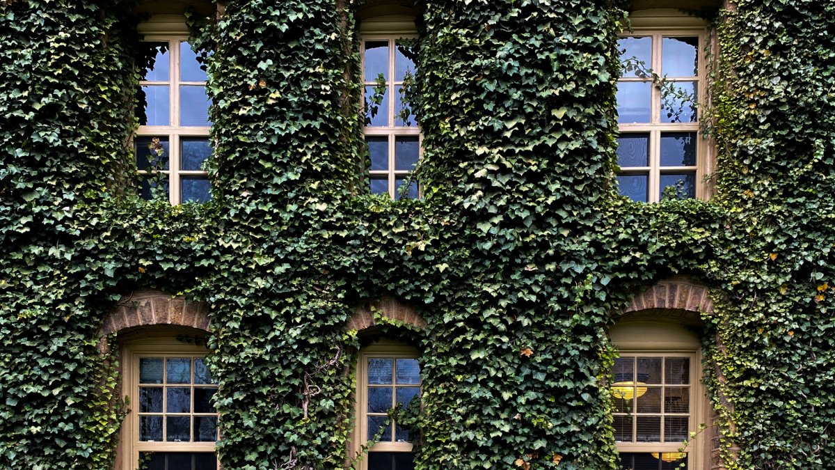 University of Chicago, Other Midwest Schools Land On List of 'Most Beautiful College Campuses' – NBC Chicago - Vimarsana News