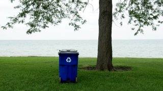 A blue recycle bin by the Chicago Lakeshore under a tree.