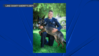 Lake County Sheriff’s Department K-9 Dax, pictured above with his handler Deputy Florenza, is being hailed for tracking down a home invasion suspect Sunday night.