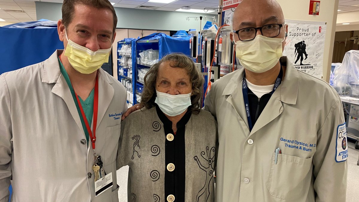 Dog Attack Survivor Reunites With Doctors Who Saved Her – NBC Chicago - Vimarsana News