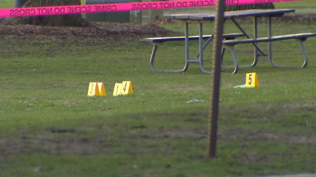 18-Year-Old Killed in Shooting at Evanston Beach Near Northwestern ...