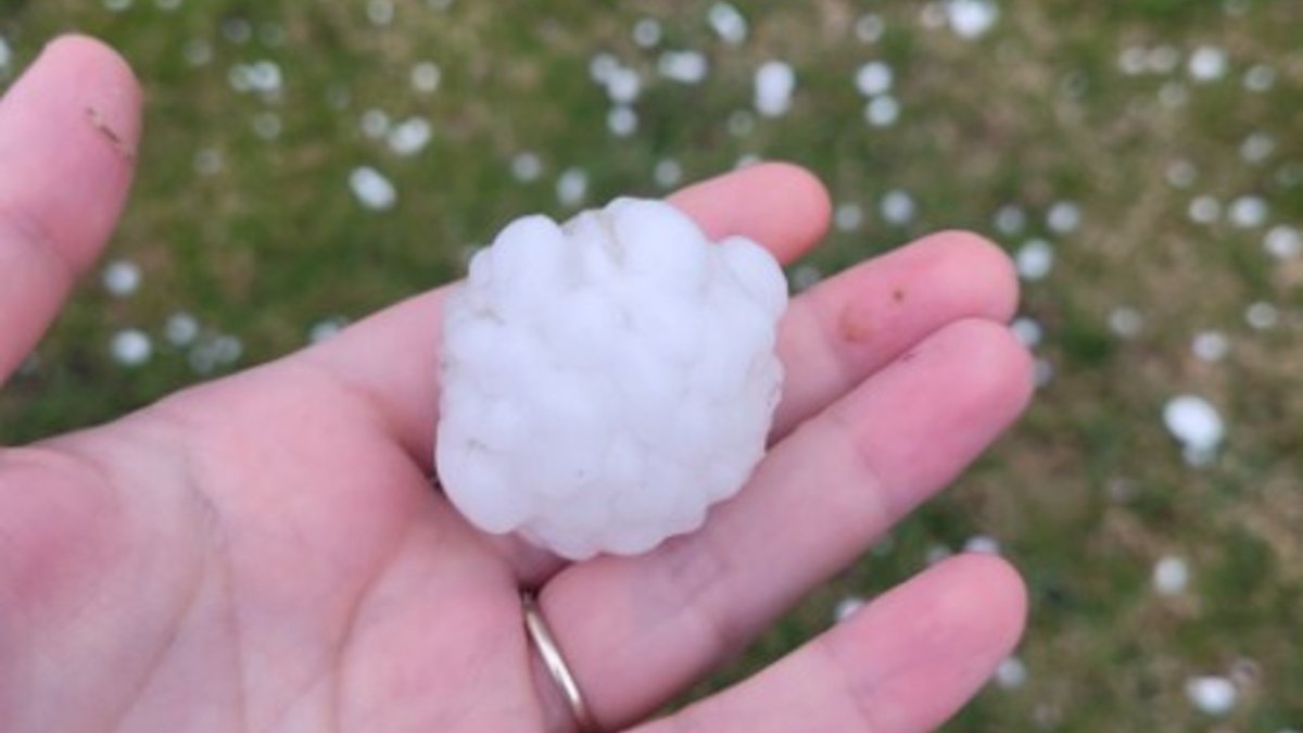 Live Blog: Severe Storms Produce Large Hail in Chicago Area, With More Possible in Evening - Vimarsana News