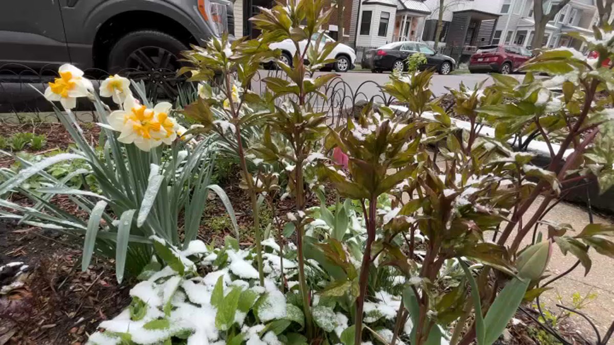 Freeze Warning Issued for Some as Chicago Area Braces for Roller