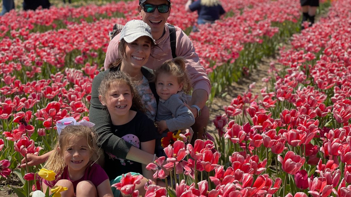 Giant Illinois Tulip Festival Set to Open to the Public Thursday NBC
