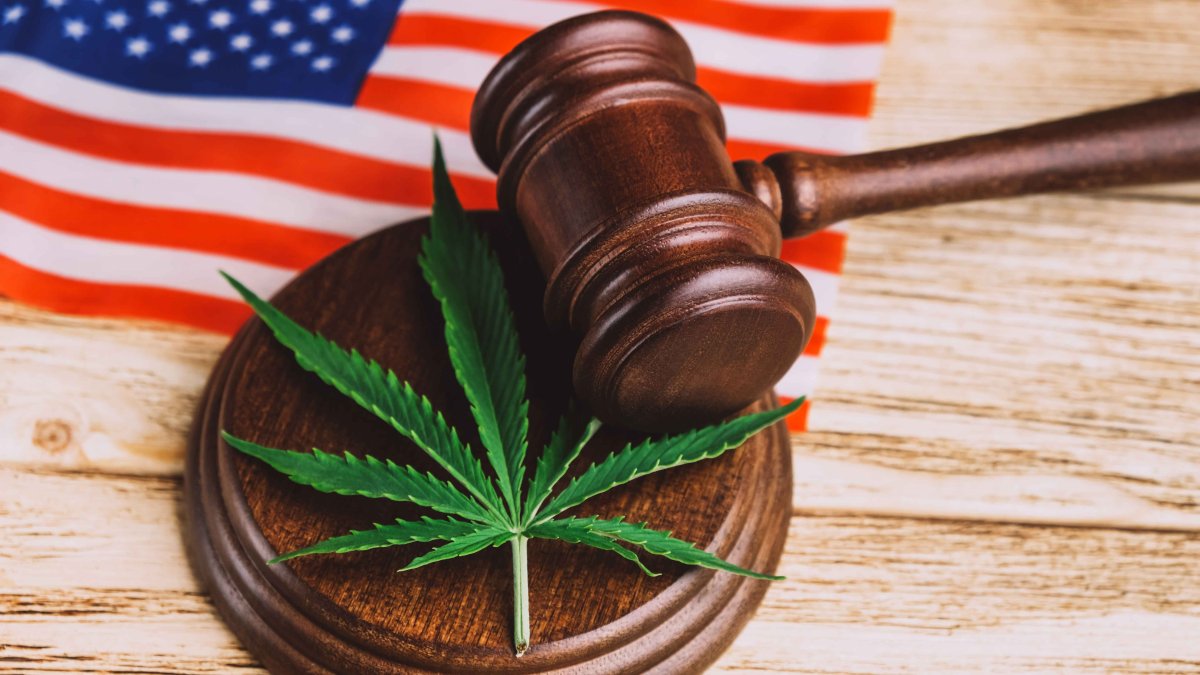 Here Are All the States That Have Legalized Weed in the US – NBC Chicago - Vimarsana News