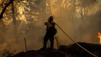 State Farm to Stop Accepting Homeowners Insurance Applications in California Due to Wildfires, Construction Costs