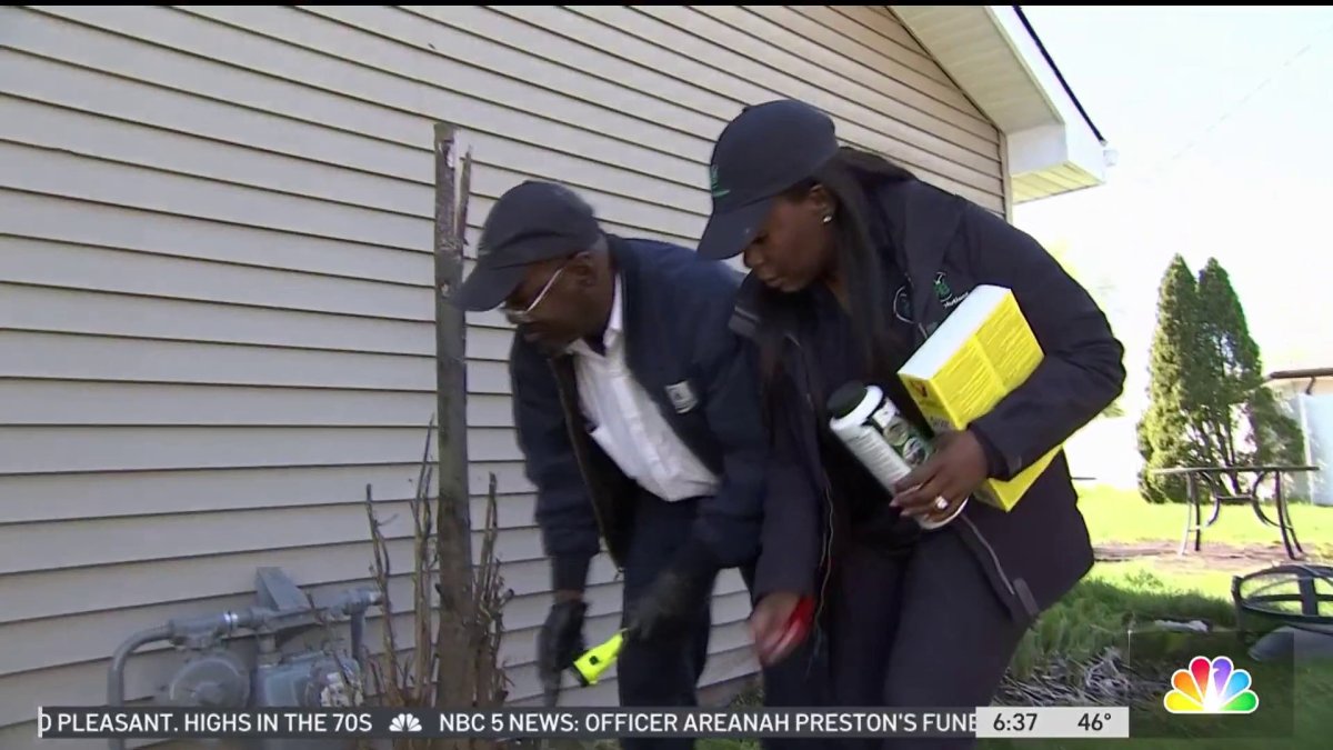 Chicago Woman Launches Pest Control Company on South Side – NBC Chicago