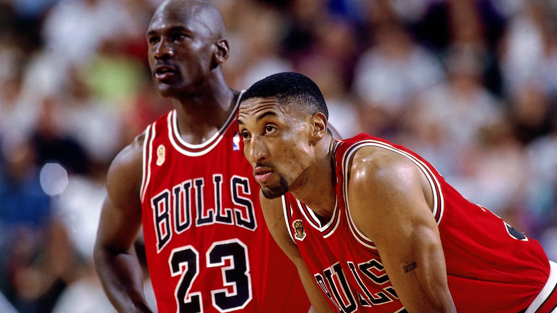 Scottie Pippen: Michael Jordan was 'horrible player' and 'horrible to play  with