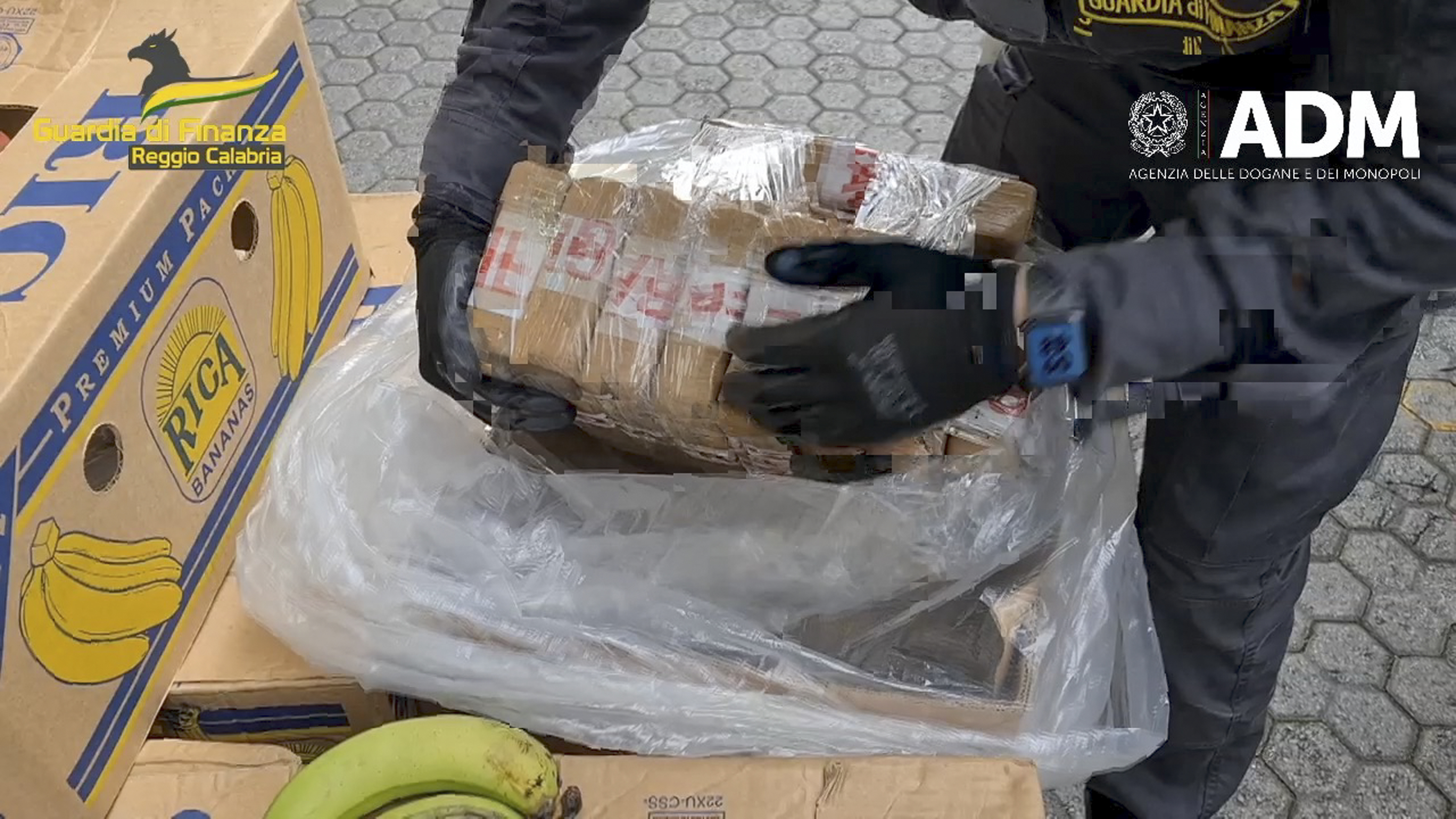 Police Dog Sniffs Out 900M in Cocaine Hidden in Banana Shipment NBC