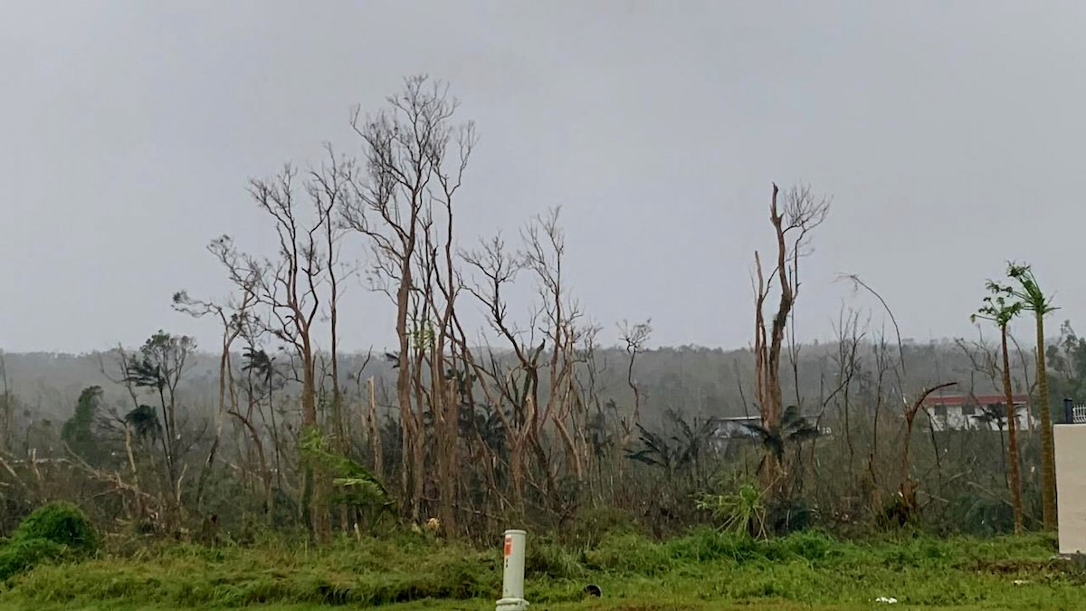 Typhoon Mawar Leaves Path of Destruction in Guam – NBC Chicago - Vimarsana News