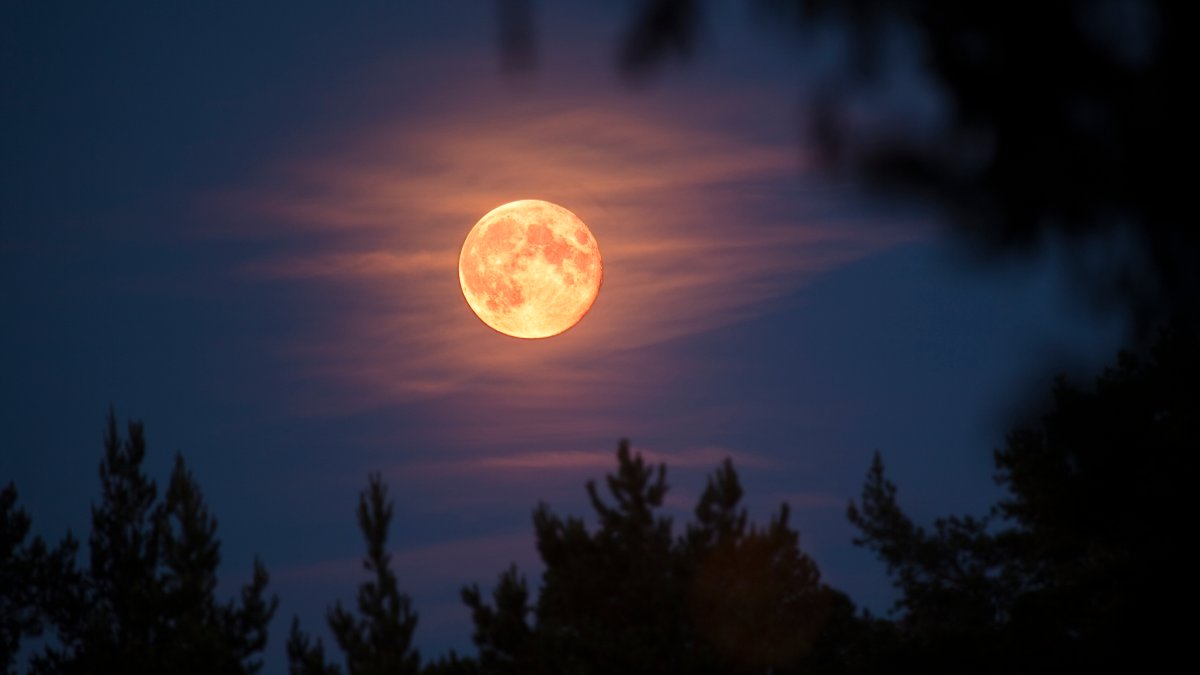 Flower Moon: The Astonishing Full Moon of May 2024 