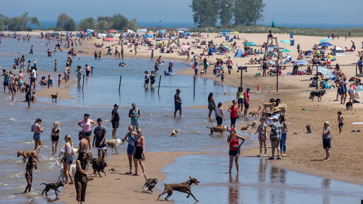 How Well Do You Know Chicago's Beaches?, Chicago News