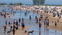 Chicago Police Limits Access to Montrose Beach Due to ‘Capacity'