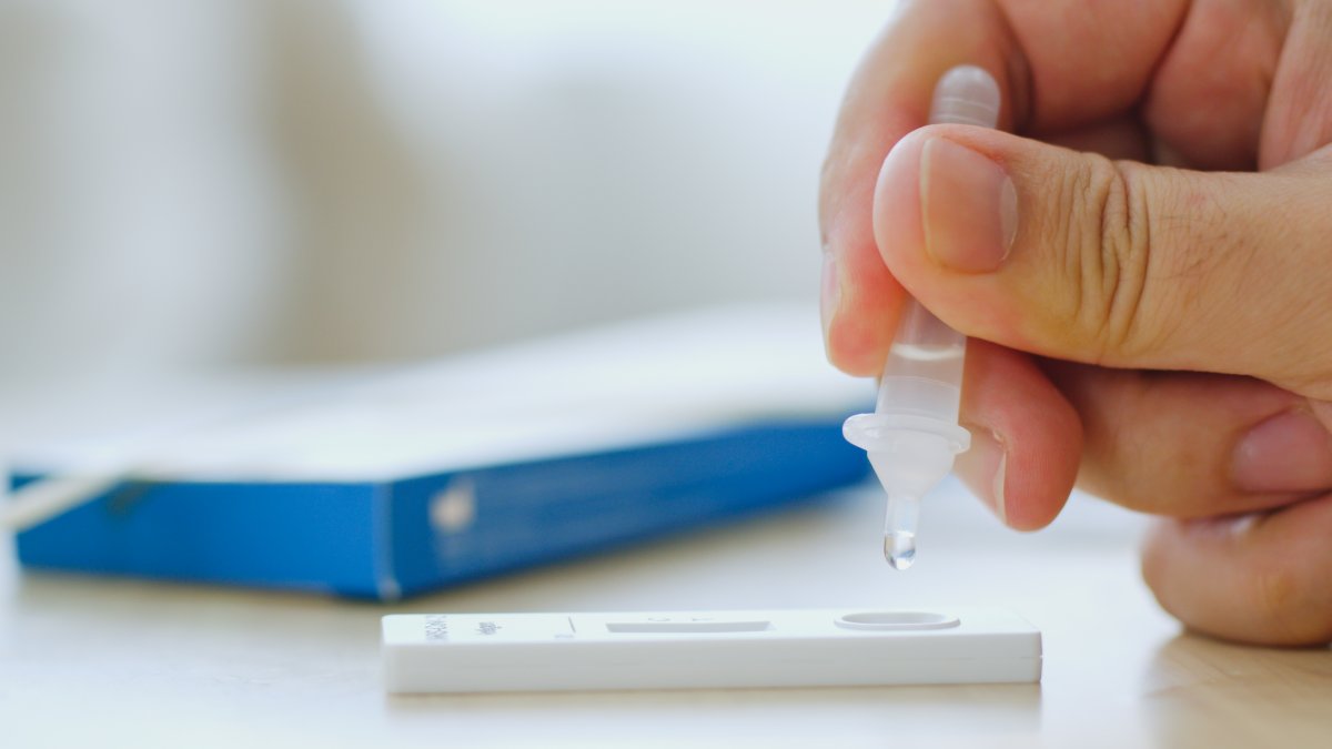 COVID testing how often should you test and when? NBC Chicago