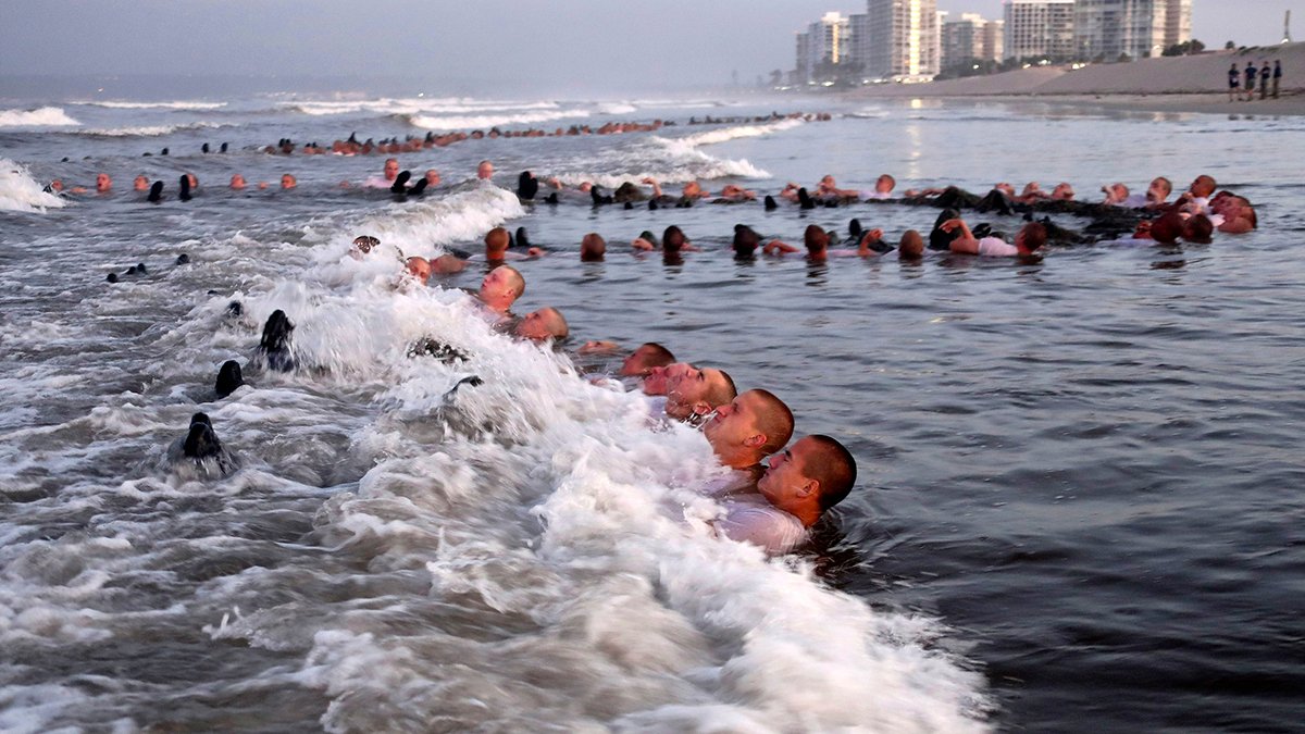 SEALs Training Plagued by Pervasive Problems, Navy Finds – NBC Chicago - Vimarsana News