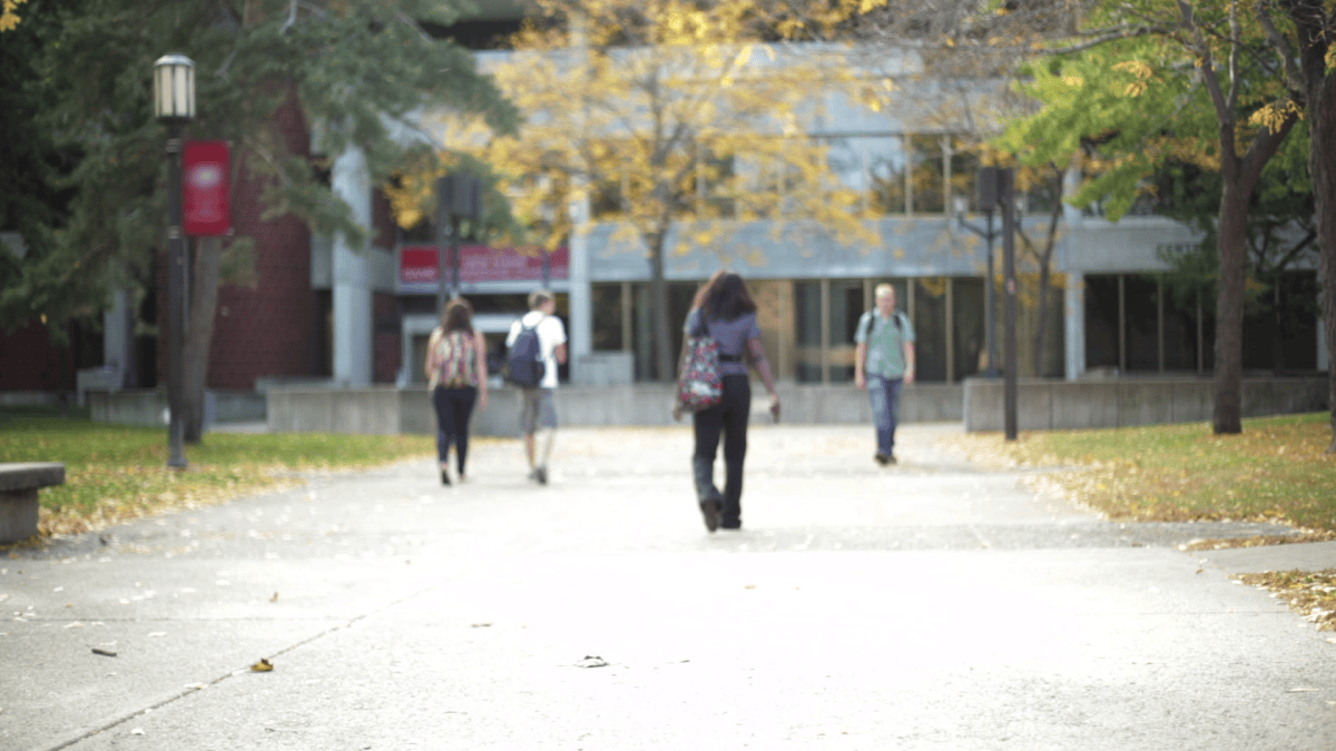 How Transparent are Illinois Colleges on Sex Crimes? Here's What NBC 5 Investigates Found - Vimarsana News