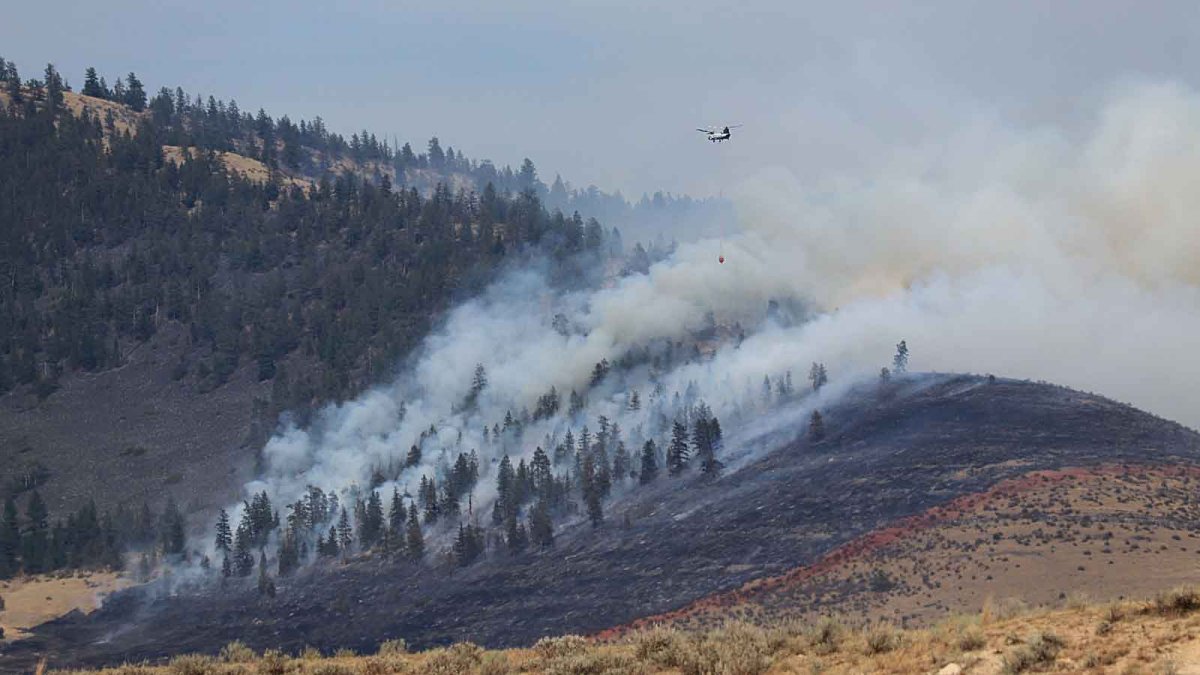 Landmark Climate Trial Set to Begin in Montana Next Month – NBC Chicago - Vimarsana News