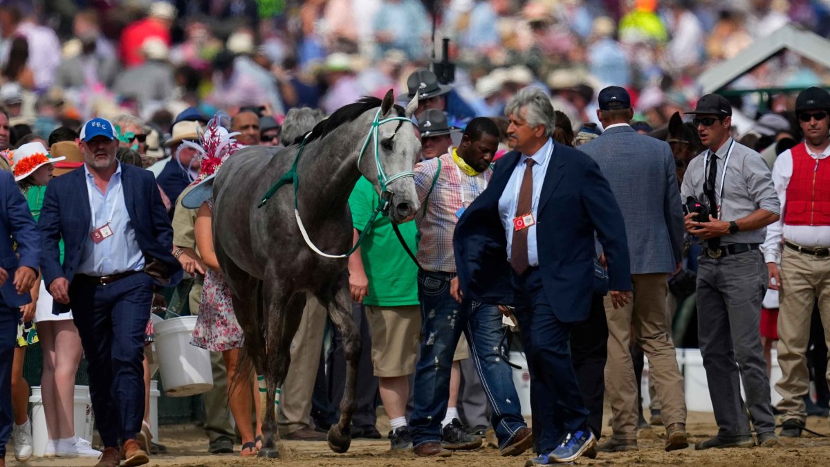 Horse Deaths Cast Shadow at Kentucky Derby as Triple Crown Shifts to