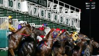 More Than 180 Years of Horse Racing in Singapore Is Coming to an End