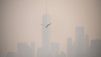 FAA Halts Flights Bound for New York's LaGuardia Airport Amid Smoke From Canada Wildfires