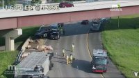 Pigs wander Minnesota highway after semitruck crashes