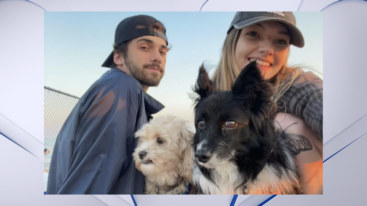 Girlfriend of man missing from Salt Shed show pleads for help from fellow concert goers – NBC Chicago - Vimarsana News