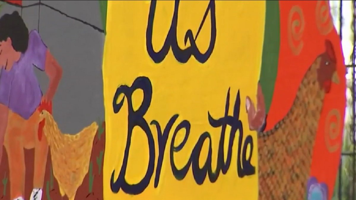 Art used to inspire environmental action by local initiative – NBC Chicago - Vimarsana News