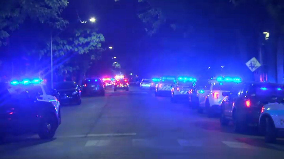 Teen Charged With Attempted Murder, Shooting at Police in Fuller Park ...