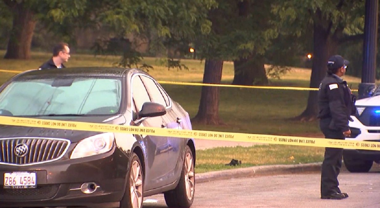 Shooting near Lincoln Park Zoo leaves 5 wounded, 4 critically – NBC Chicago - Vimarsana News